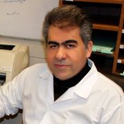 دکتر محمد صدری