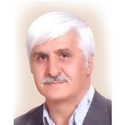 دکتر محمدهادی رفیعی