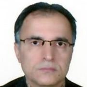 دکتر سید حسن هاشمی امیر