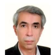 دکتر مجید شهشهانی پور