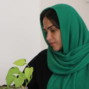 مهسا فکوریوسفیان