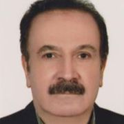 دکتر سید حسن مهاجرانی