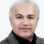 دکتر محمدحسین امینی