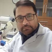 صادق شکوری