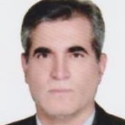 دکتر عبدالامیر ستایش فر
