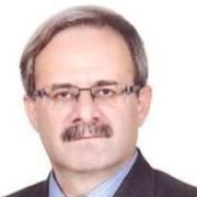 دکتر سیدمهدی سیدمیرزایی