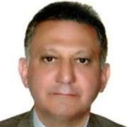 دکتر مهدی ارجمندی