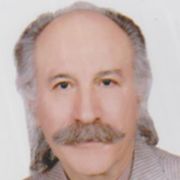 دکتر غلامرضا فتوحی قیام