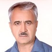 دکتر عبدالحسن تقی زاده