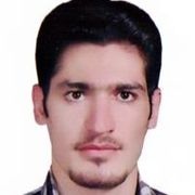 دکتر مجتبی محمدی