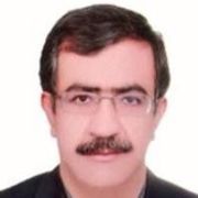 دکتر محمدحسین ترابی نژادکرمانی