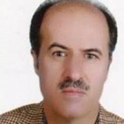 دکتر هادی محسن پور