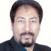 دکتر سید ستارالدین محمدیان