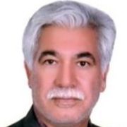 دکتر محمود عامریون