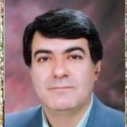 دکتر محمدرضا حسن حقیقی فرد