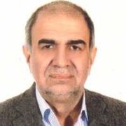 دکتر محمد زارع مهرجردی
