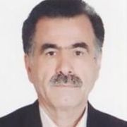 دکتر محمدتقی مهراب پور