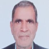حسین امینی