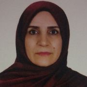 طلعت رافعی