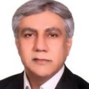 دکتر حسین محمودی