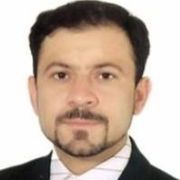 دکتر مجید برگ ریزان