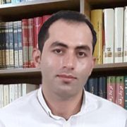 حامد سیفی زاده آرانی