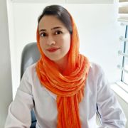مینا اسلامی