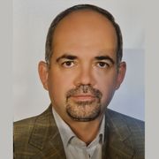 دکتر سید محمدعلی مدینه ای