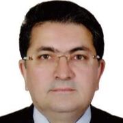 دکتر محمدجواد اربابی