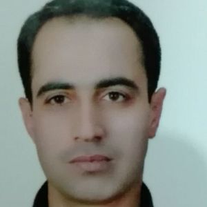 فرید حامدی
