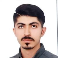 دکتر محمدهادی فروزنده شهرکی