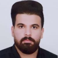 سیدحسین امینی فر
