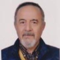 دکتر محمود رافتی
