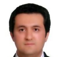 دکتر شنتیا مصری نژاد