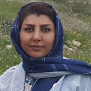 دکتر نیر هدائی