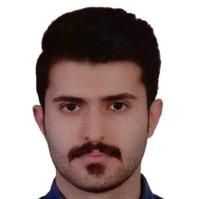 حامد فروغی اصل