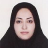 شیروین حجت شمامی