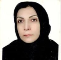توران غزنوی فام