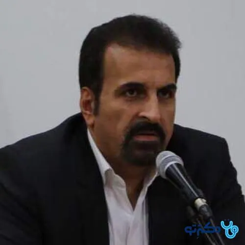 دکتر سید هادی مدرسی