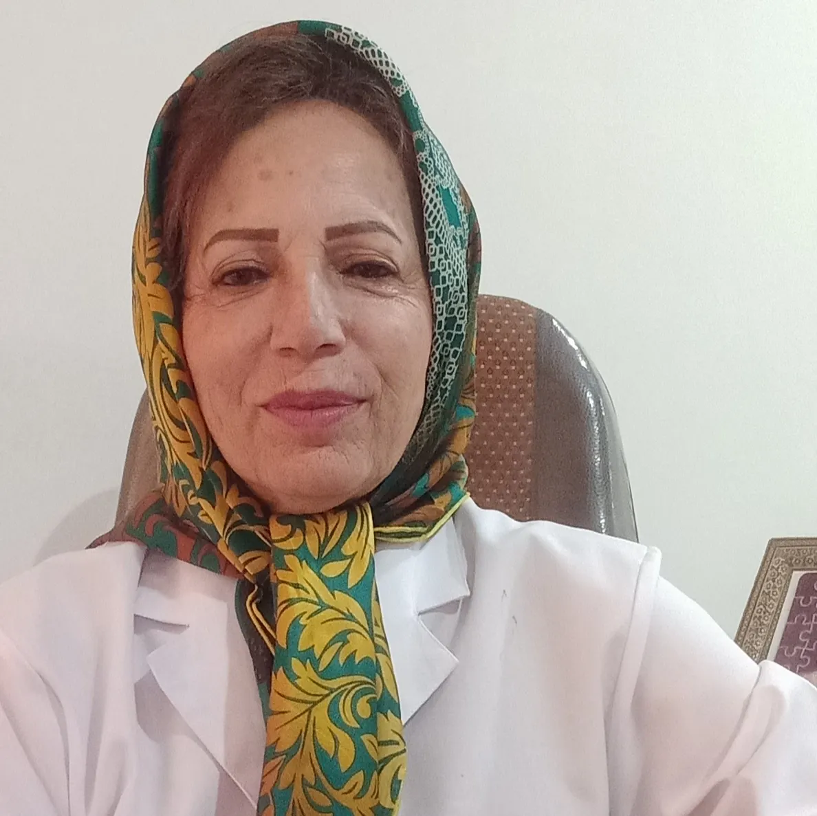 شهناز ابراهیمی