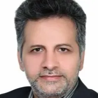 دکتر سید ابوالحسن شاهزاده فاضلی