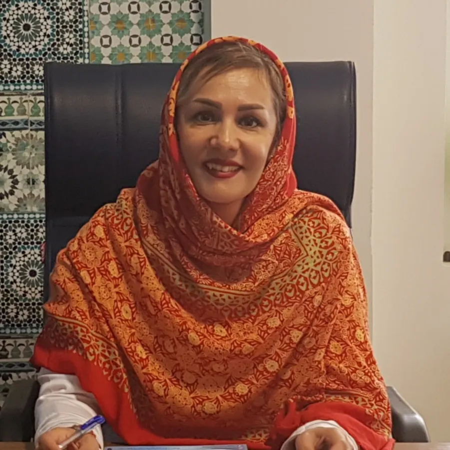لیدا رامین