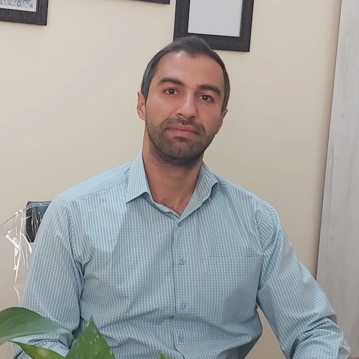 محمد وحید ایوبی