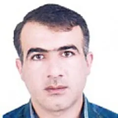 دکتر محمدرضا گودرزی فر