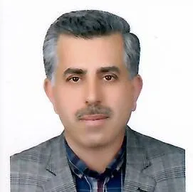 دکتر سید احمد میری گرجی