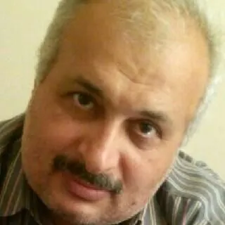 دکتر سید مهدی مهدوی مرتضوی