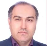 سید میثم محمودی هاشمی