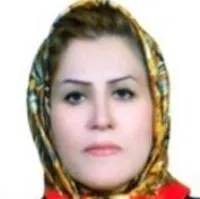 دکتر مهرزاد محبی