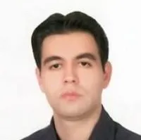 دکتر مجتبی حسینی