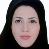 دکتر ساناز میری